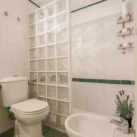 Elegante En El Corazon De Sevilla. Apartment *